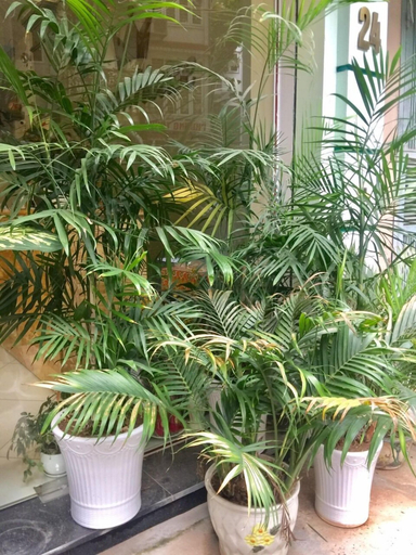 Others 5, Royal House, Hai Bà Trưng