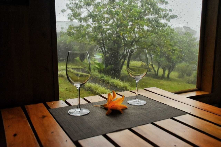 Food & Drinks 5, Casa Campo Verde, Puntarenas