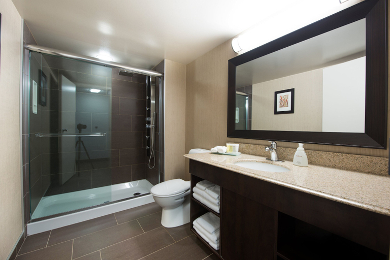 Bathroom 4, Victoria Inn Hotel Convention Centre Brandon, Division No. 7