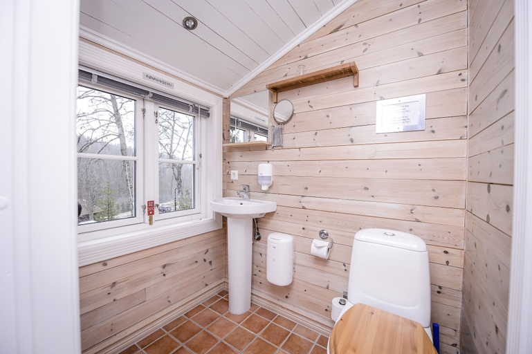 Bathroom 4, Kleivstua, Hole