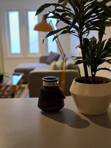 Food & Drinks, Harstad Apartments, Harstad