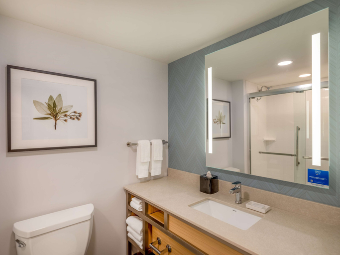 Bathroom 5, Hilton Garden Inn Toledo Downtown, Lucas