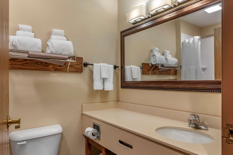 Bathroom 4, Comfort Inn Warrensburg Station, Johnson