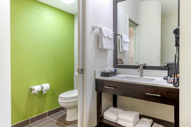 Bathroom 5, Sleep Inn Orangeburg, Orangeburg