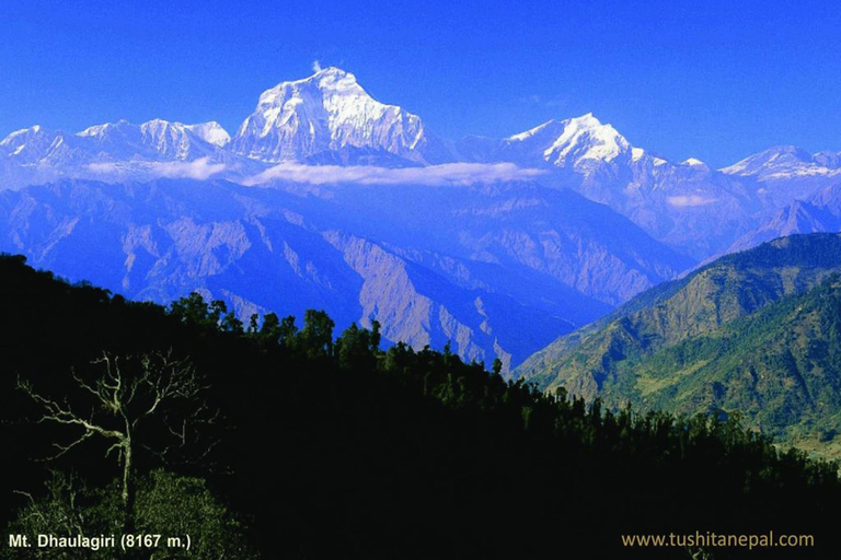 Others 4, Tushita Nepal Yoga Retreat Center, Gandaki