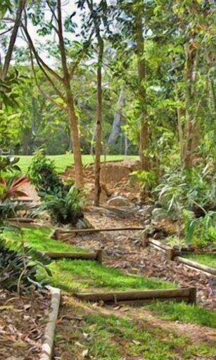 Others 4, Rainforest Ranch, Livingstone - Pt B