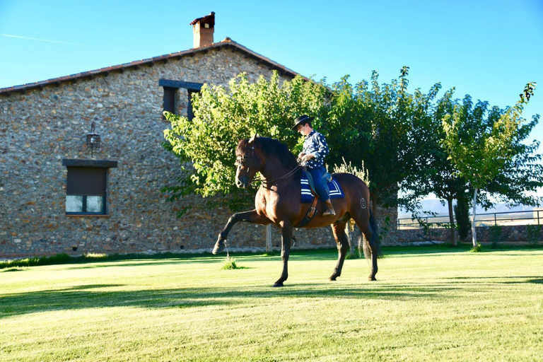 Exterior & Views 2, Casa Rural Yeguada Jimenez Latorre, Ciudad Real
