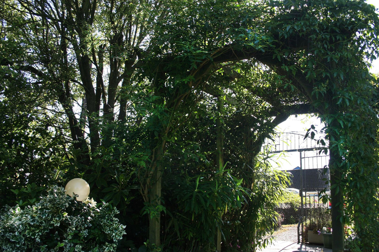 Others 4, Townhouse Rooms, Cornwall