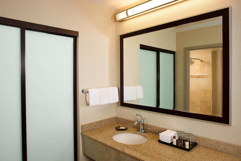 Bathroom 4, Sheraton Suites Orlando Airport, Orange