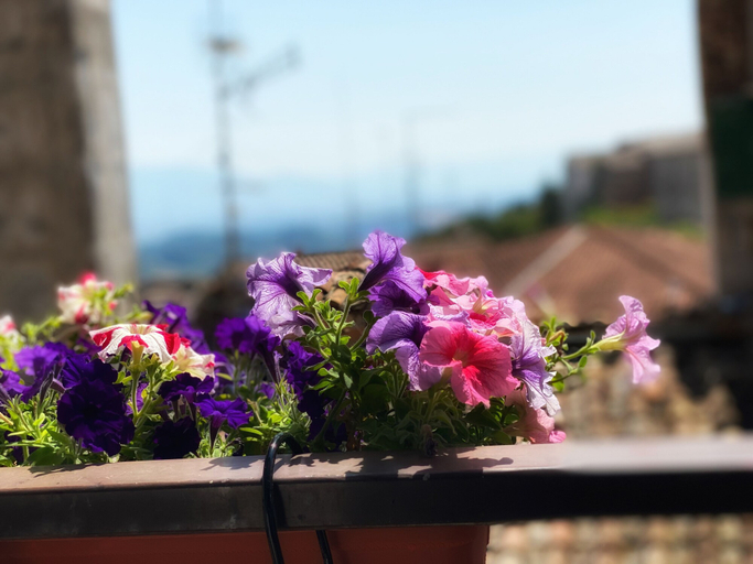 Others 5, Hotel Sant'Ercolano, Perugia