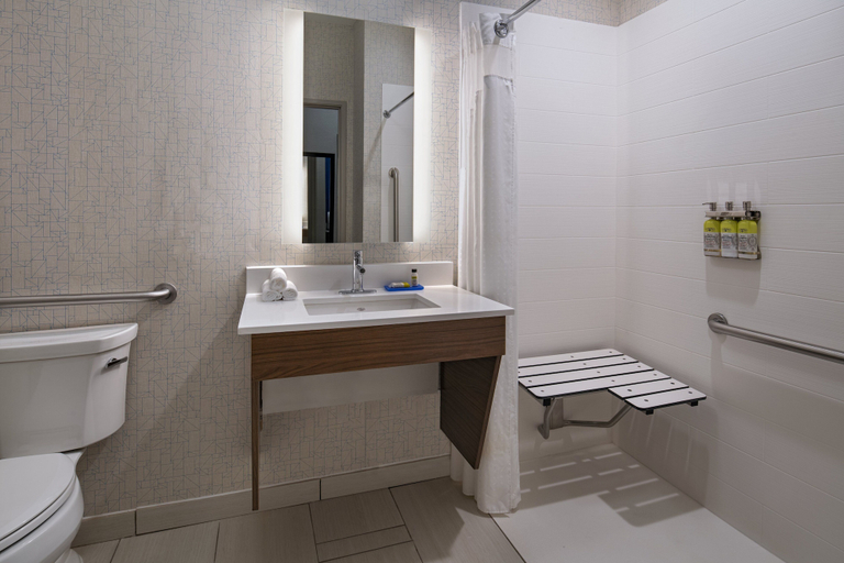 Bathroom 5, Holiday Inn Express & Suites AUSTIN NW - CEDAR PARK by IHG, Williamson