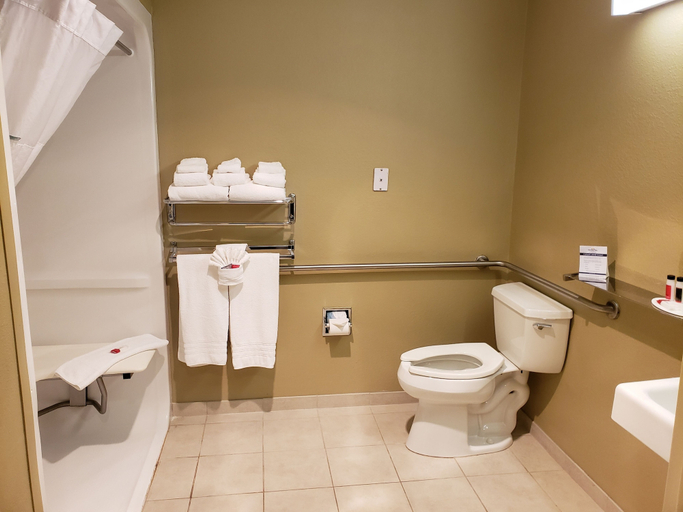 Bathroom 5, Microtel Inn & Suites by Wyndham Dover, Strafford