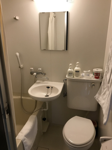 Bathroom, Business hotel route9, Higashiizumo