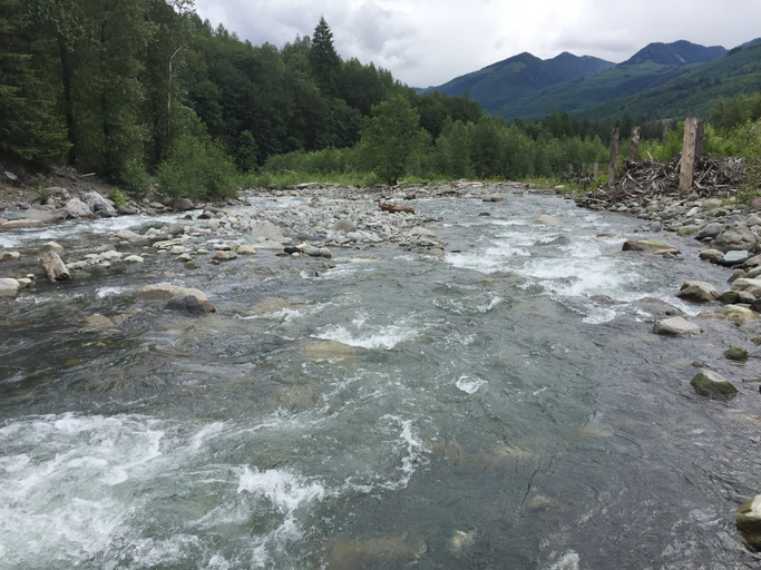 Others 4, 27GS - BBQ - Pets Ok - WiFi - Sleeps 8, Whatcom