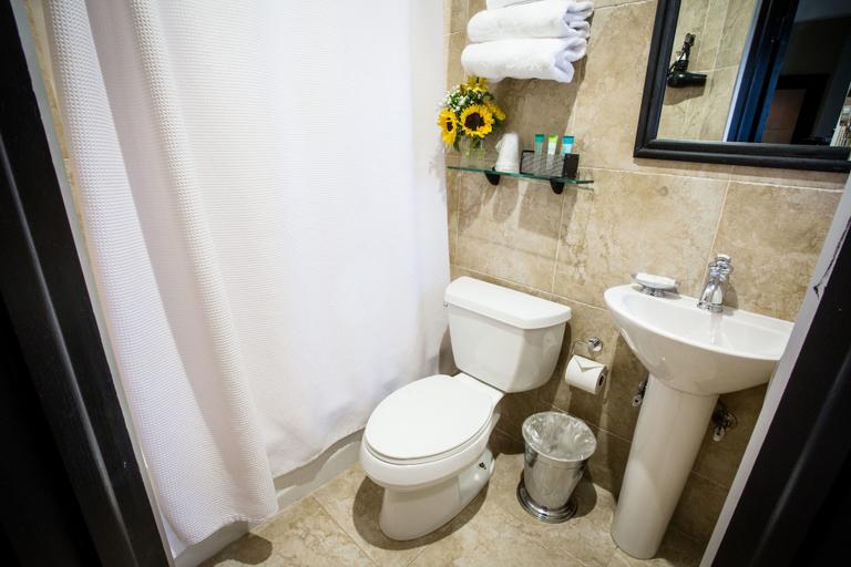 Bathroom 4, Mansfield, New York