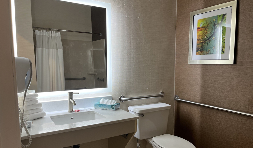 Bathroom 4, Wingate by Wyndham Great Falls, Cascade