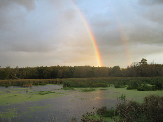 Others 4, Coastal Inn, Benzie