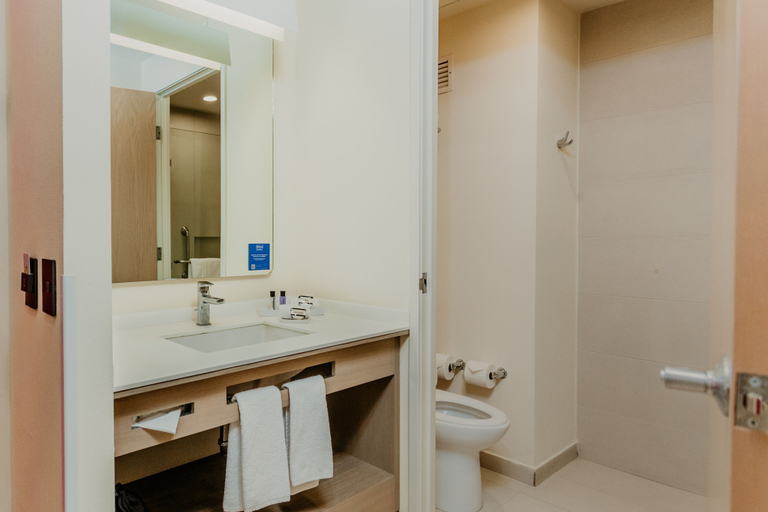 Bathroom 3, Hilton Garden Inn Silao Aeropuerto Bajio, Silao