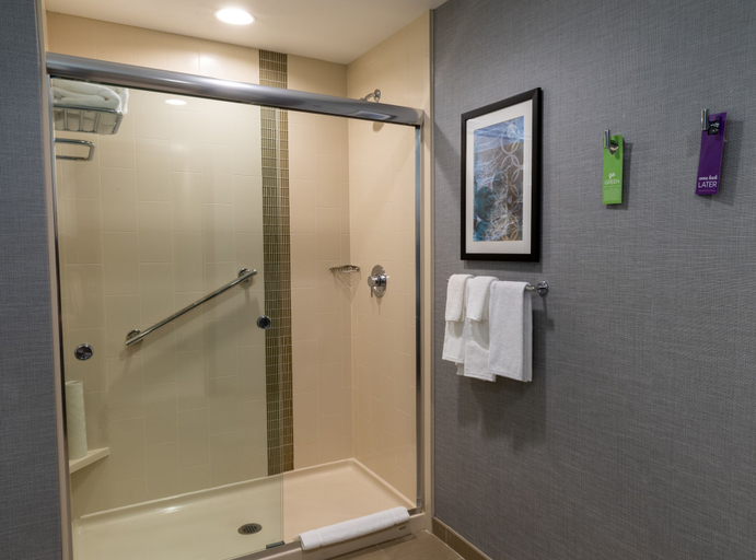 Bathroom 5, Hyatt Place West Des Moines Jordan Creek, Dallas