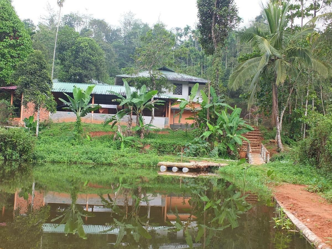Others 4, Jungle Valley Resort, Wayanad