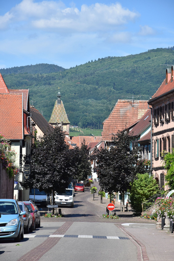 Others 5, S'harzala Vert, Haut-Rhin