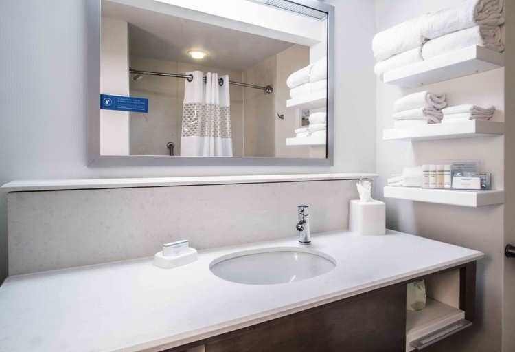 Bathroom 4, Hampton Inn South Haven, Van Buren
