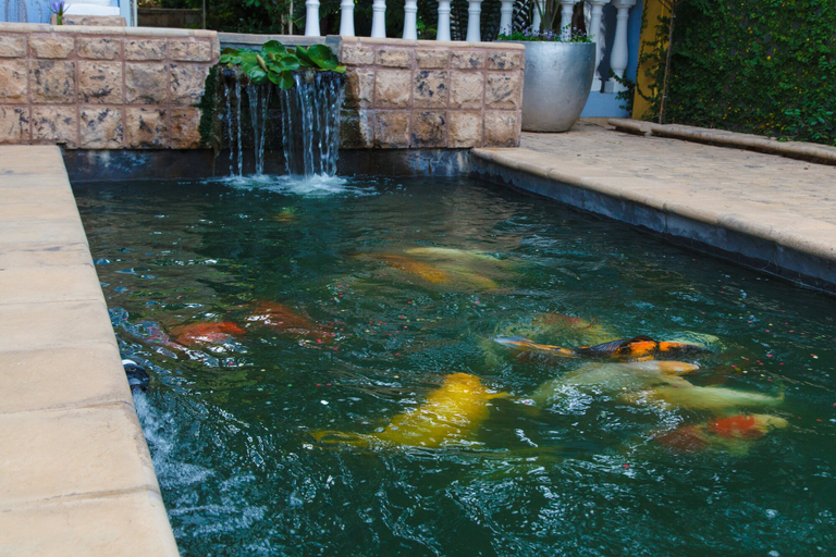 Sport & Beauty 3, The Angels Place Boutique Hotel, City of Tshwane