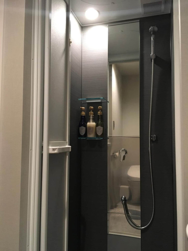 Bathroom 5, Yumoto Station Hotel MIRAHAKONE, Hakone