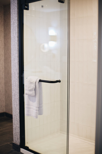 Bathroom 5, The Chattanoogan Hotel, Curio Collection by Hilton, Hamilton