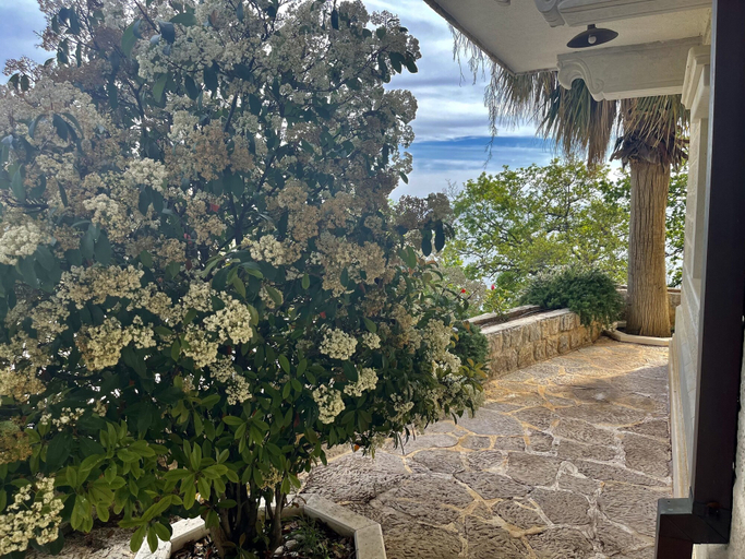 Others 5, Pietra Mare Apartments