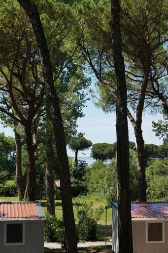 Exterior & Views 2, Belvedere Pineta Camping Village, Udine