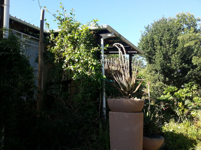 Others 5, Veki's Village, Mbabane East