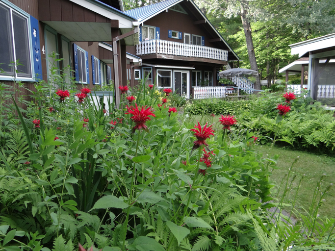 Exterior & Views 2, Blue Gentian Lodge at Magic Mountain, Windham