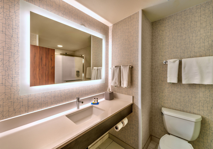 Bathroom 5, Holiday Inn Express & Suites MINDEN, Douglas