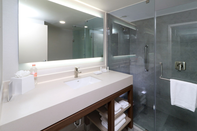 Bathroom 3, Courtyard by Marriott Monterrey Airport, Apodaca