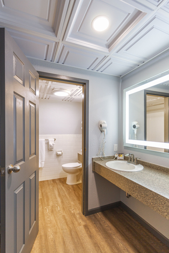 Bathroom 4, Terrace Bay Hotel, Delta
