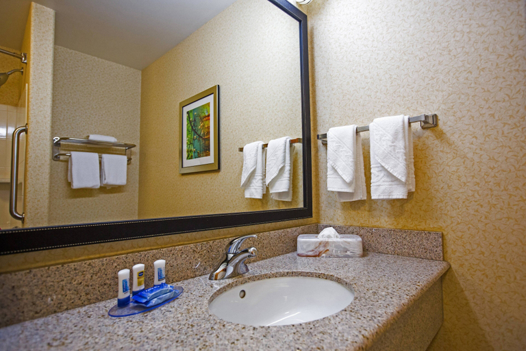 Bathroom 3, Fairfield by Marriott Inn & Suites Toledo North, Lucas