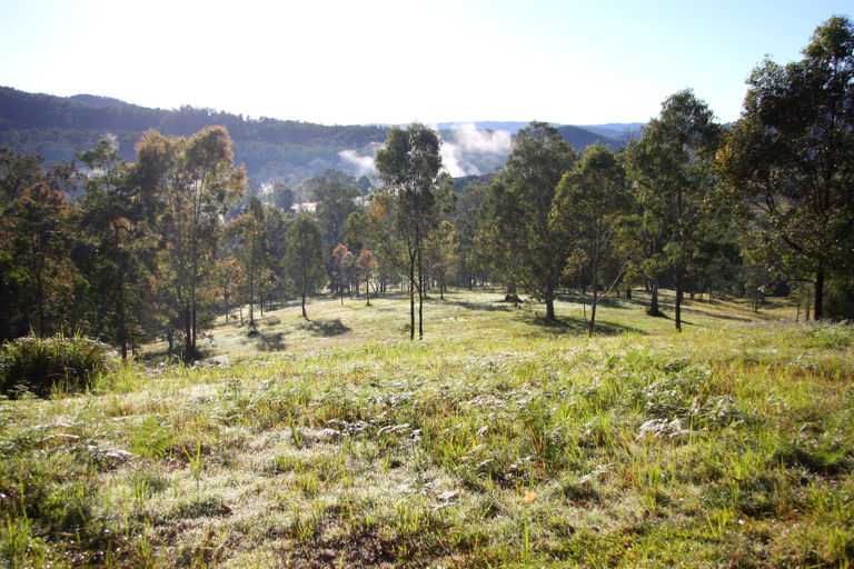 Others 5, Yabbaloumba Retreat, Caloundra - Hinterland