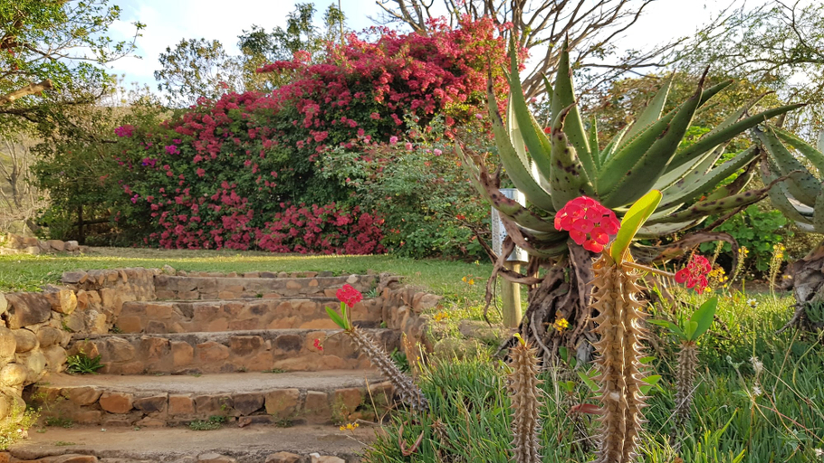 Others 5, Wide Horizons Mountain Retreat, Ntondozi