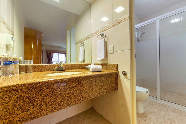Bathroom 4, Comfort Inn Monterrey Norte, San Nicolás de los Garza