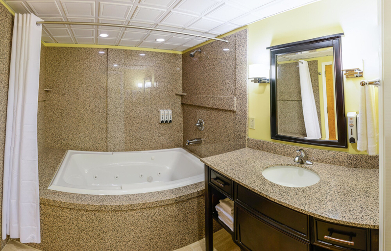 Bathroom 4, Asbury Inn & Suites, Jessamine