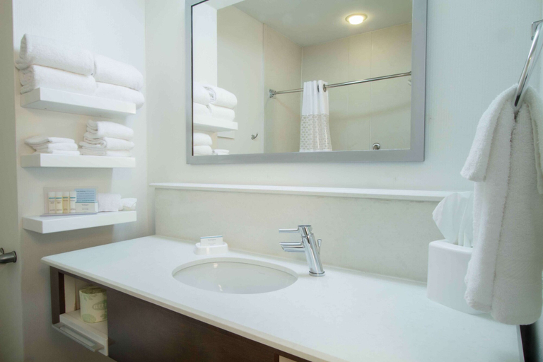 Bathroom 4, Hampton Inn South Haven, Van Buren
