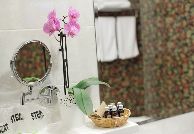 Bathroom 5, Hotel Boutique Belvedere, Sinaia