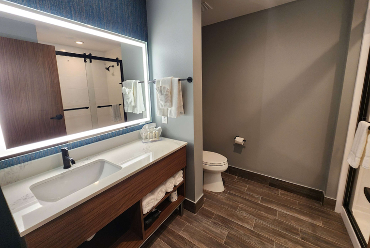 Bathroom 4, La Quinta Inn & Suites by Wyndham Del Rio, Val Verde
