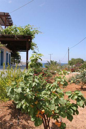 Others 4, Captivating 1-bed Apartment in Lefkos, South Aegean