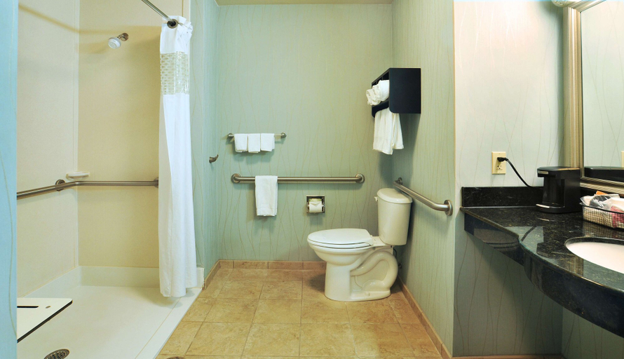 Bathroom 5, Hampton Inn Gadsden/Attalla I-59, Etowah