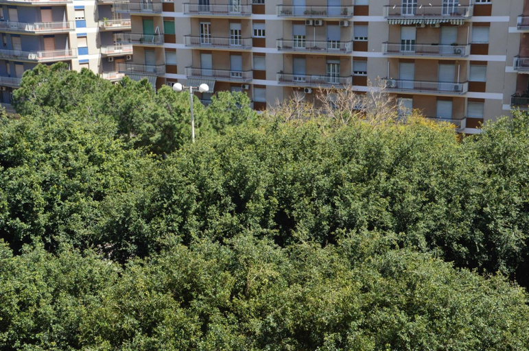 Exterior & Views 2, Michelangelo BB Rooms, Catania