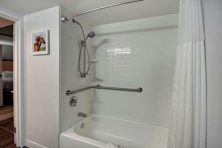 Bathroom 5, Hampton Inn I-75 Lexington/Hamburg Area, Fayette