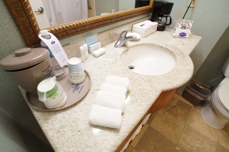 Bathroom 3, Hampton Inn by Hilton Tampico Aeropuerto, Altamira