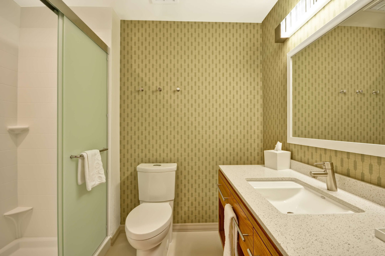 Bathroom 4, Home2 Suites by Hilton Evansville, Vanderburgh
